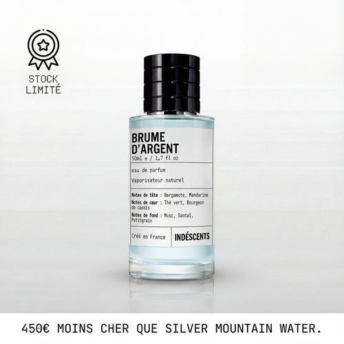 Flacon Brume d'Argent Indéscents, eau de parfum fraîche inspirée de Creed Silver Mountain Water, 50 ml