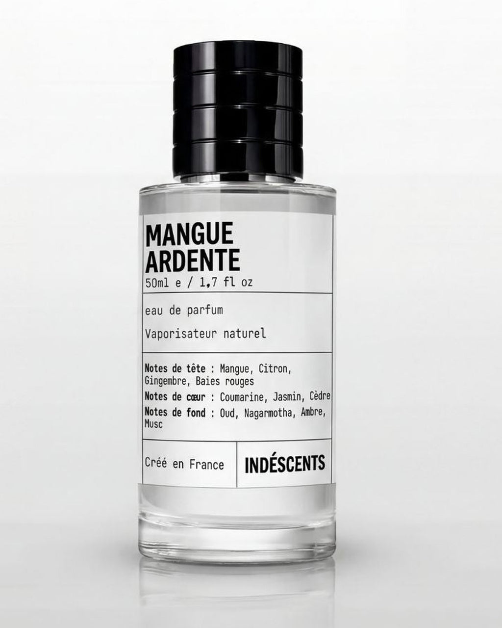 Flacon Mangue Ardente Indéscents 50 ml, eau de parfum inspirée de God of Fire, jus transparent, nouvelle sortie