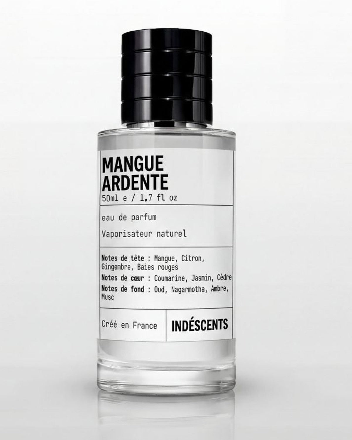 Flacon Mangue Ardente Indéscents 50 ml, eau de parfum inspirée de God of Fire, jus transparent, nouvelle sortie